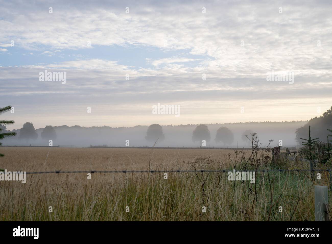 Misty Morning al District Peak National Park, Derbyshire, Inghilterra, Regno Unito Foto Stock