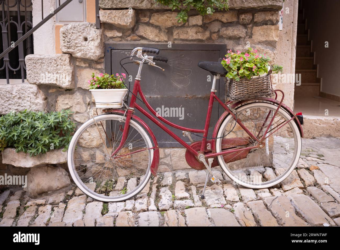 La città vecchia di Rovigno, penisola istriana, Croazia. Una bicicletta nel centro storico con fiori in cesti. Foto Stock