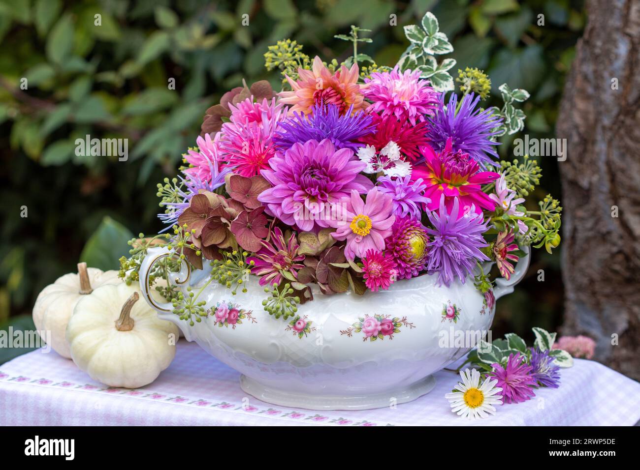 composizioni floreali con dahlias rosa e viola e assaggiatori in zuppa tureen vintage Foto Stock
