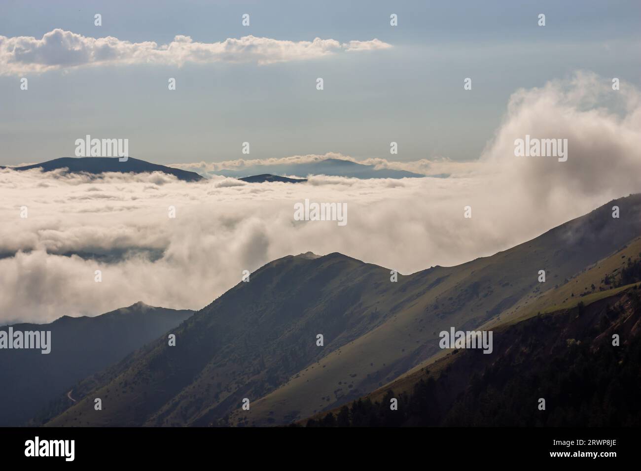 Nebbia nuvola sulla cima della montagna, paesaggio collinare prato Foto Stock