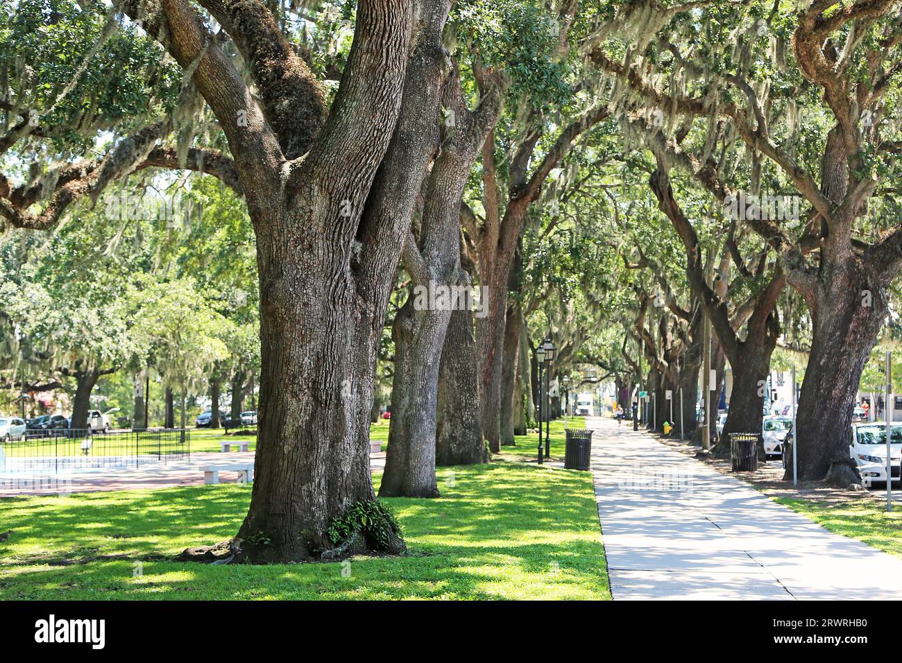 Camminando a Emmet Park - Savannah, Georgia Foto Stock