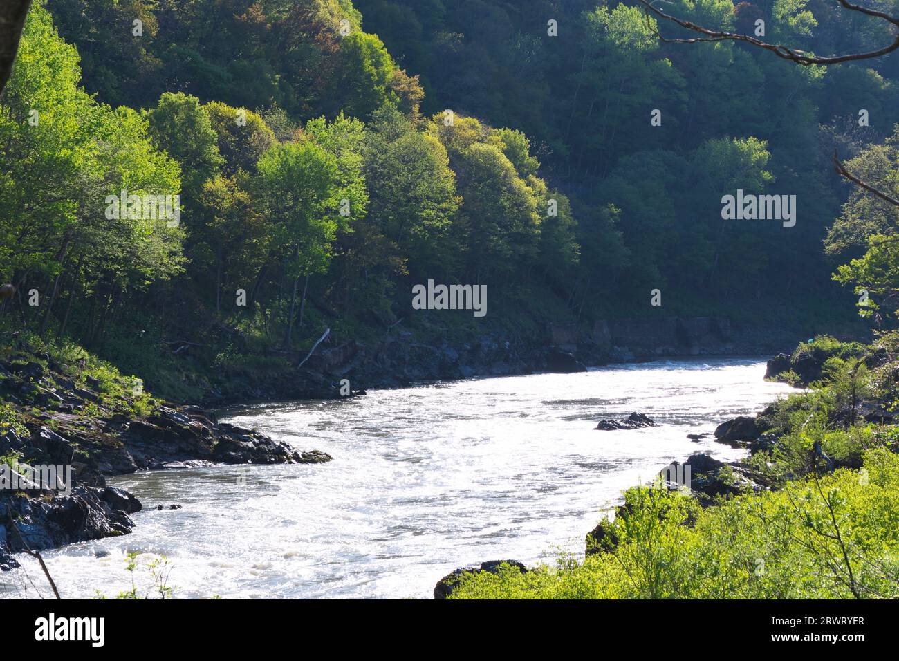 Mattina di Ishikari gawa Kamuikotan Foto Stock