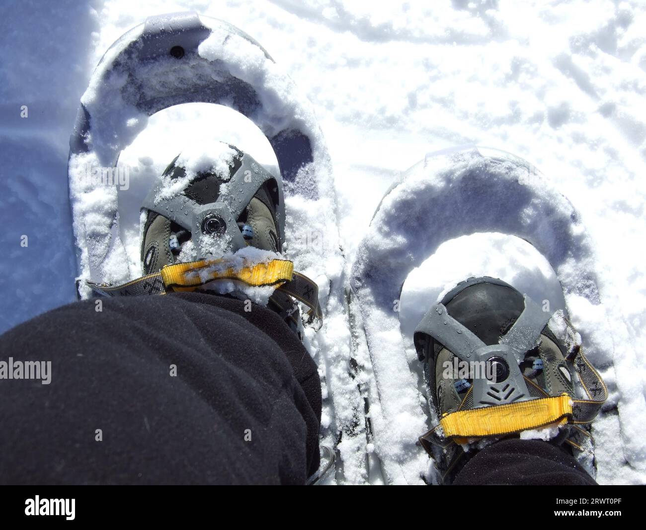 Uomo con le ciaspole immagini e fotografie stock ad alta risoluzione - Alamy