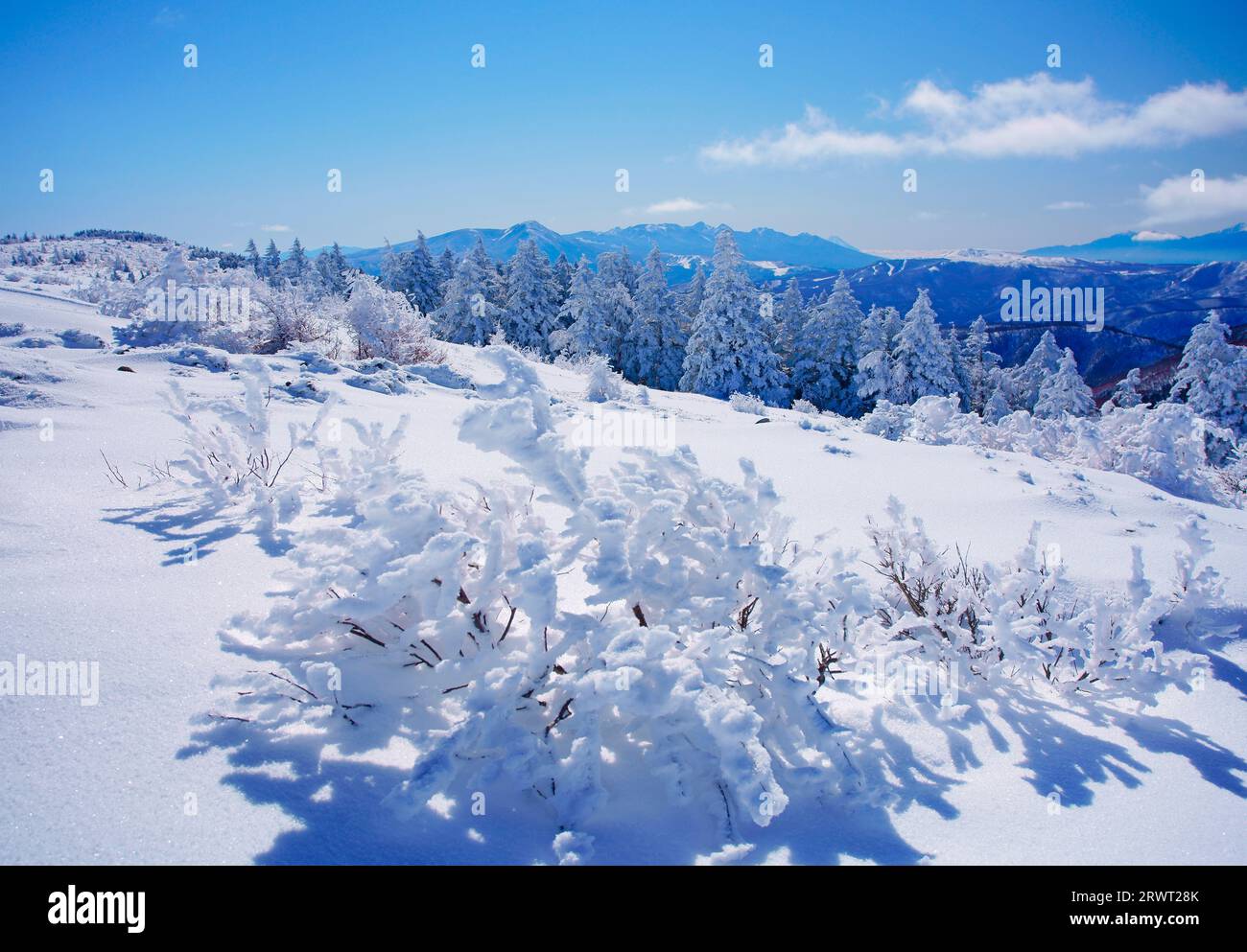 MT. Fuji e i monti Yatsugatake con nebbia, ghiaccio e campi di neve Foto Stock