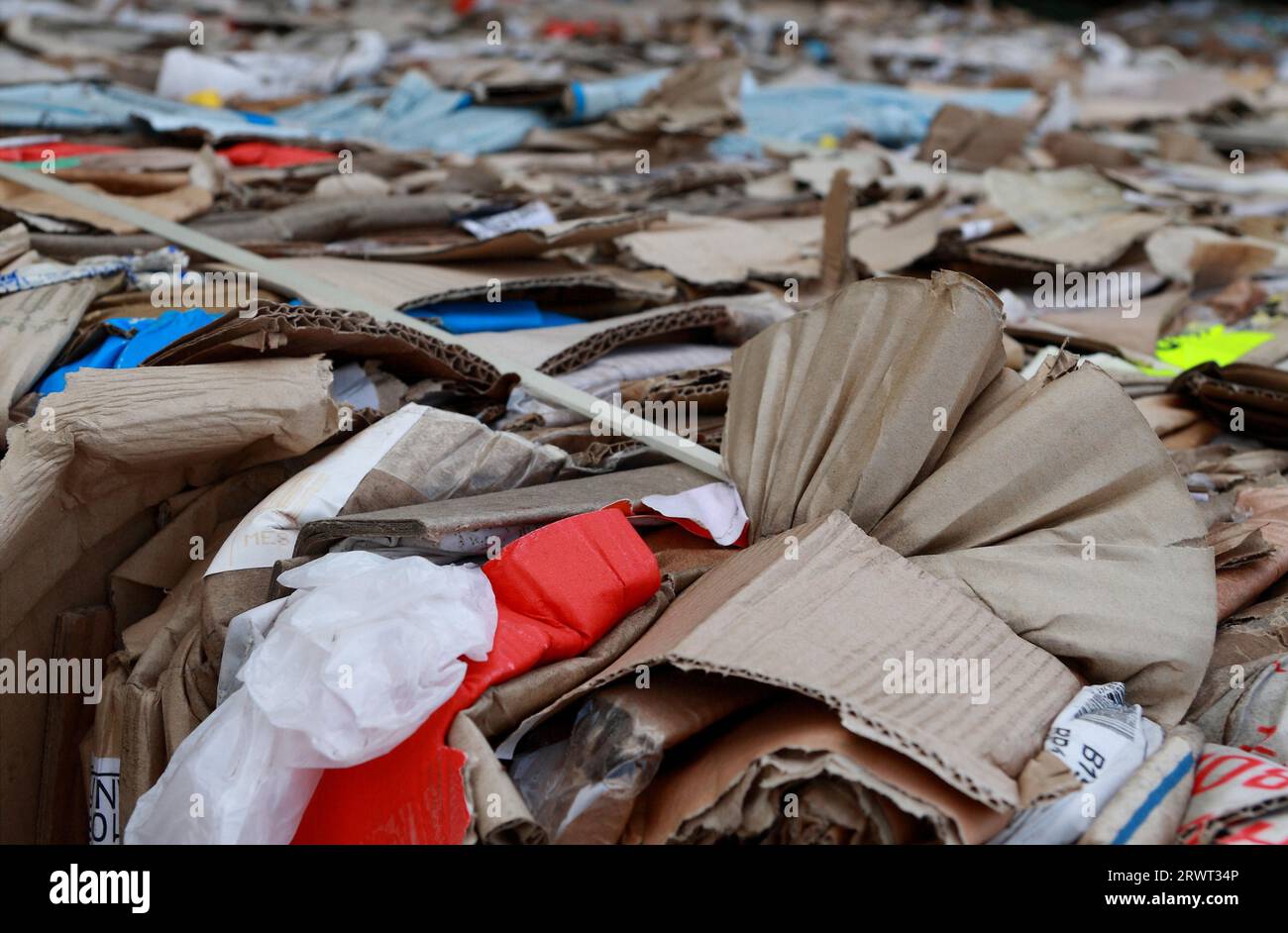 Scarti di carta e cartone dai colori brillanti, gioca con nitidezza e sfocatura, riempiendo i formati Foto Stock