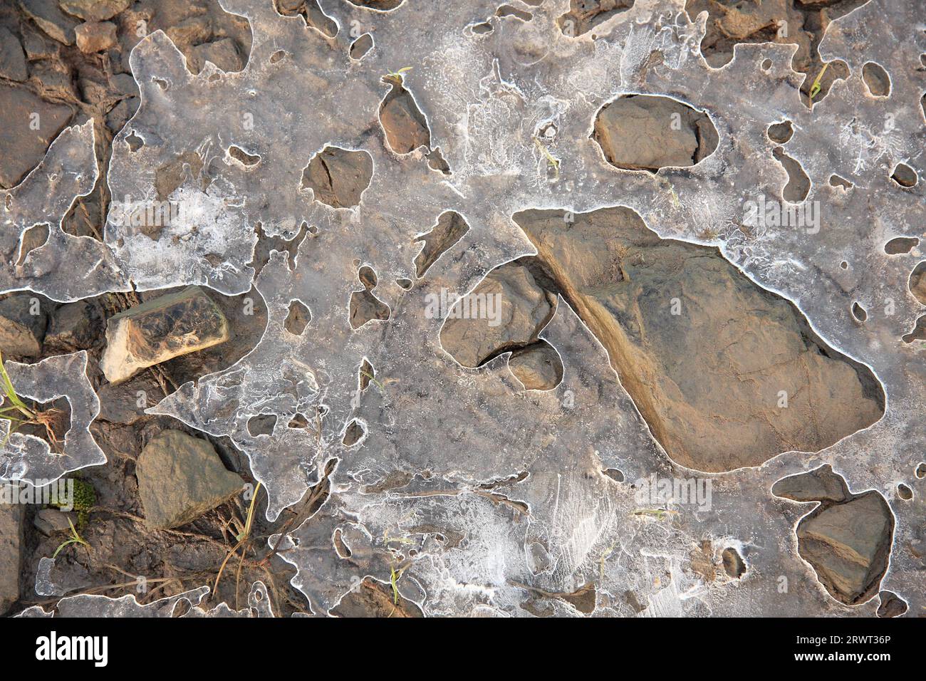 Pietre di ghiaia circondate da ghiaccio sottile Foto Stock