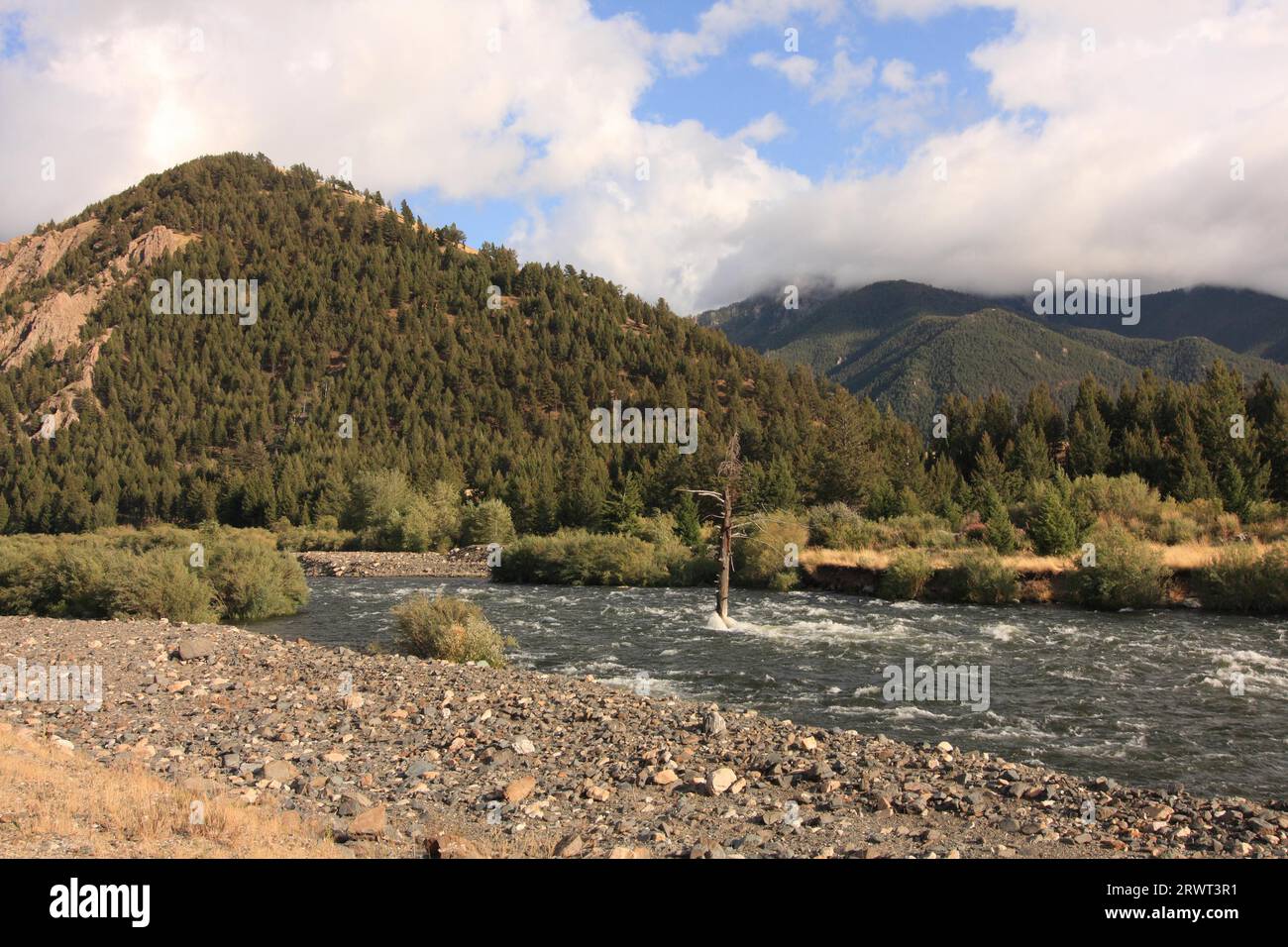 Creek in montagna, Montana, USA Foto Stock