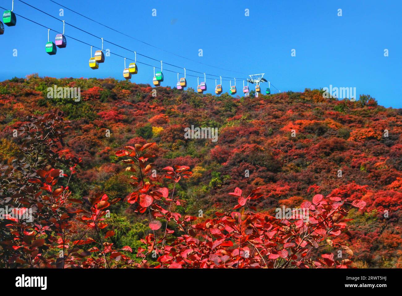 Cattura la magia della natura mentre le vibranti erbe rosse e verdi creano incredibili contrasti sullo sfondo delle maestose montagne cinesi Foto Stock
