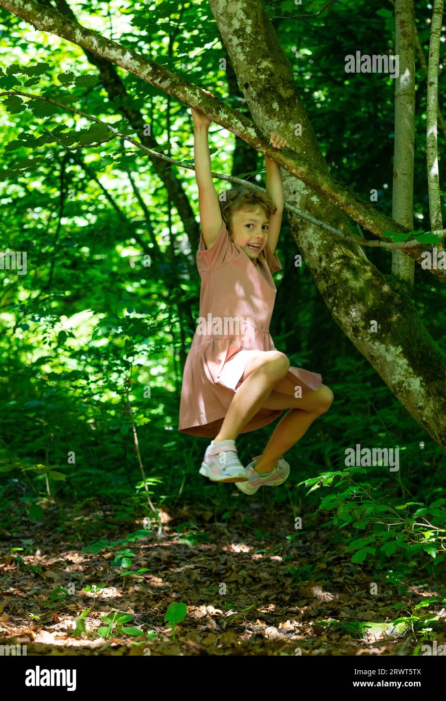Ginnastica femminile su un albero al Wald Wasser Zauber Weg vicino a Hintersee, Salzkammergut, Land Salzburg, Austria, Europa Foto Stock
