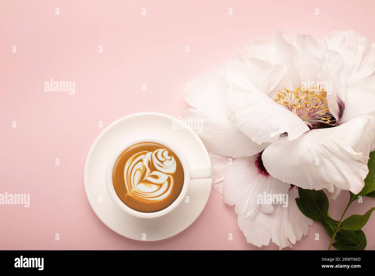 Tazza di caffè mattutina e splendidi fiori di rose su sfondo chiaro, vista dall'alto. Colazione accogliente. Stile piatto. Foto di alta qualità Foto Stock