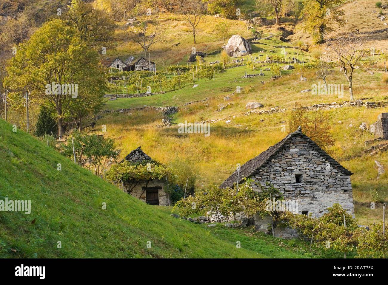 Vecchie case in pietra sul pendio di Corippo, Val Verzasca, Ticino, Svizzera Foto Stock