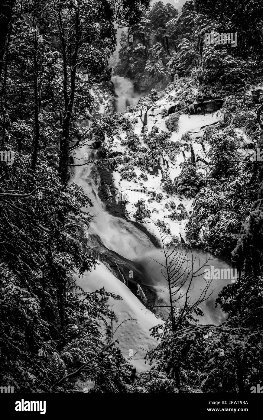 Foto della cascata circondata dalla neve nel Parque Nacional Huerquehue in Cile Foto Stock
