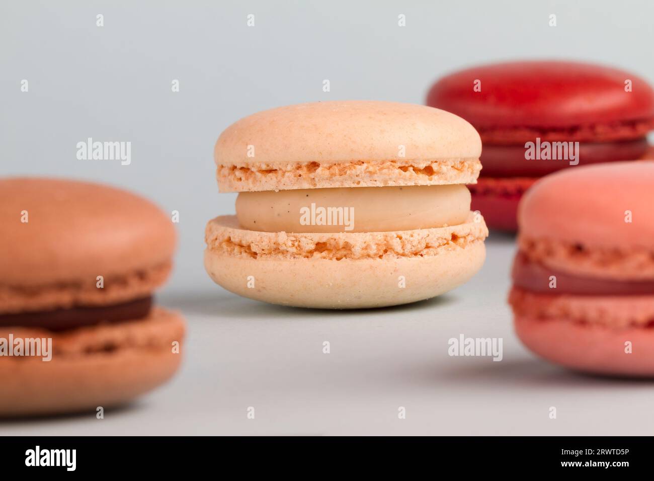 Primo scatto macro di un macaron, spuntino francese, su uno sfondo colorato. Foto Stock