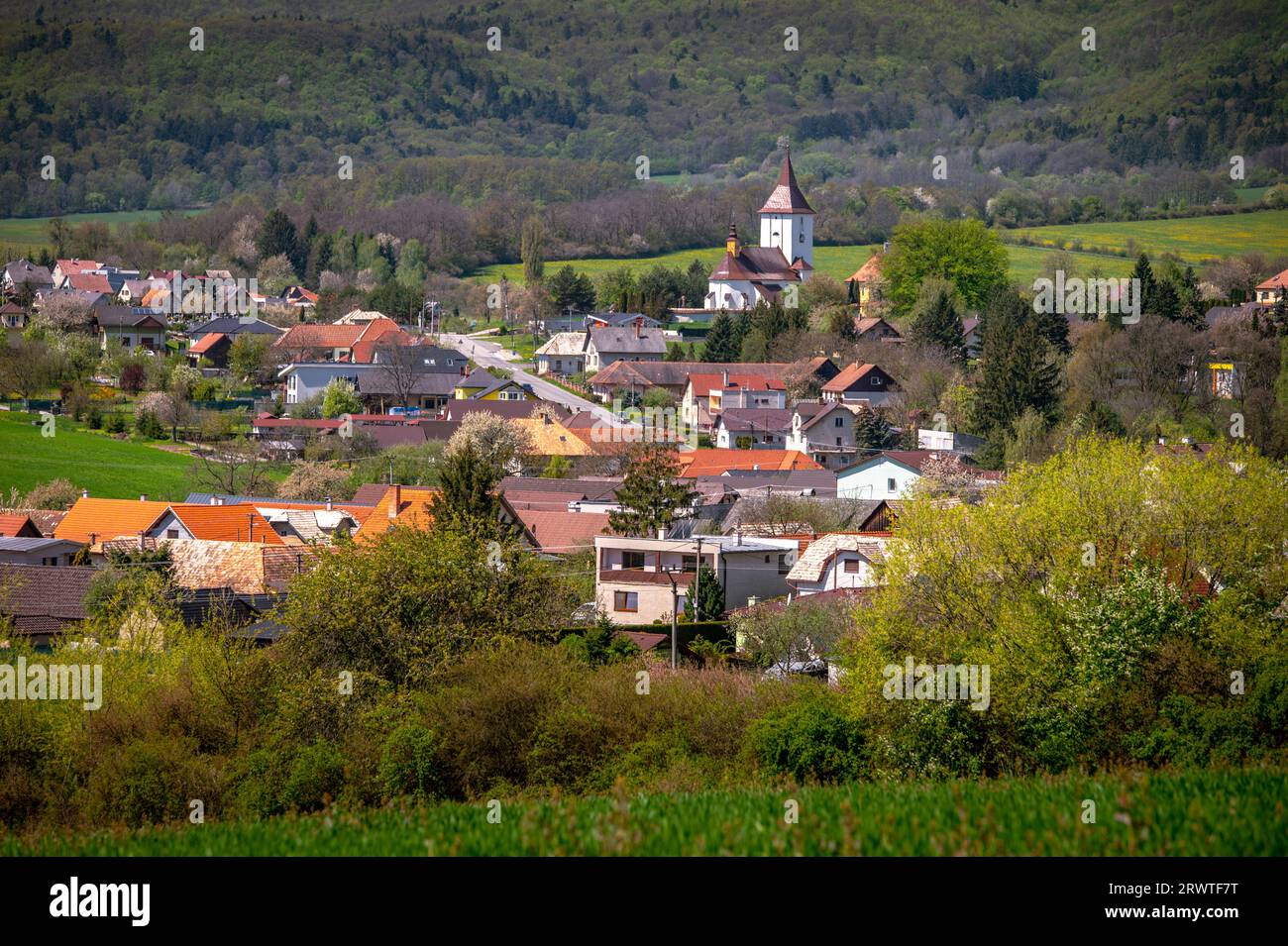 Crepuscolo nel paradiso rurale: La bellezza dolce della primavera Foto Stock