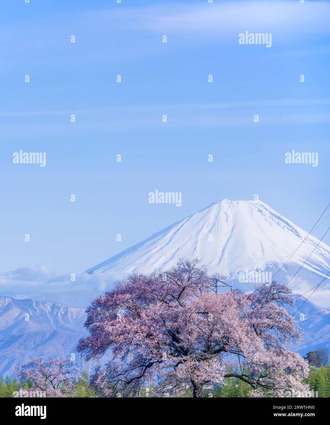 Scenario di Yamanashi: Fiori di ciliegio e il monte Fiori di ciliegio a Wani Mound Foto Stock