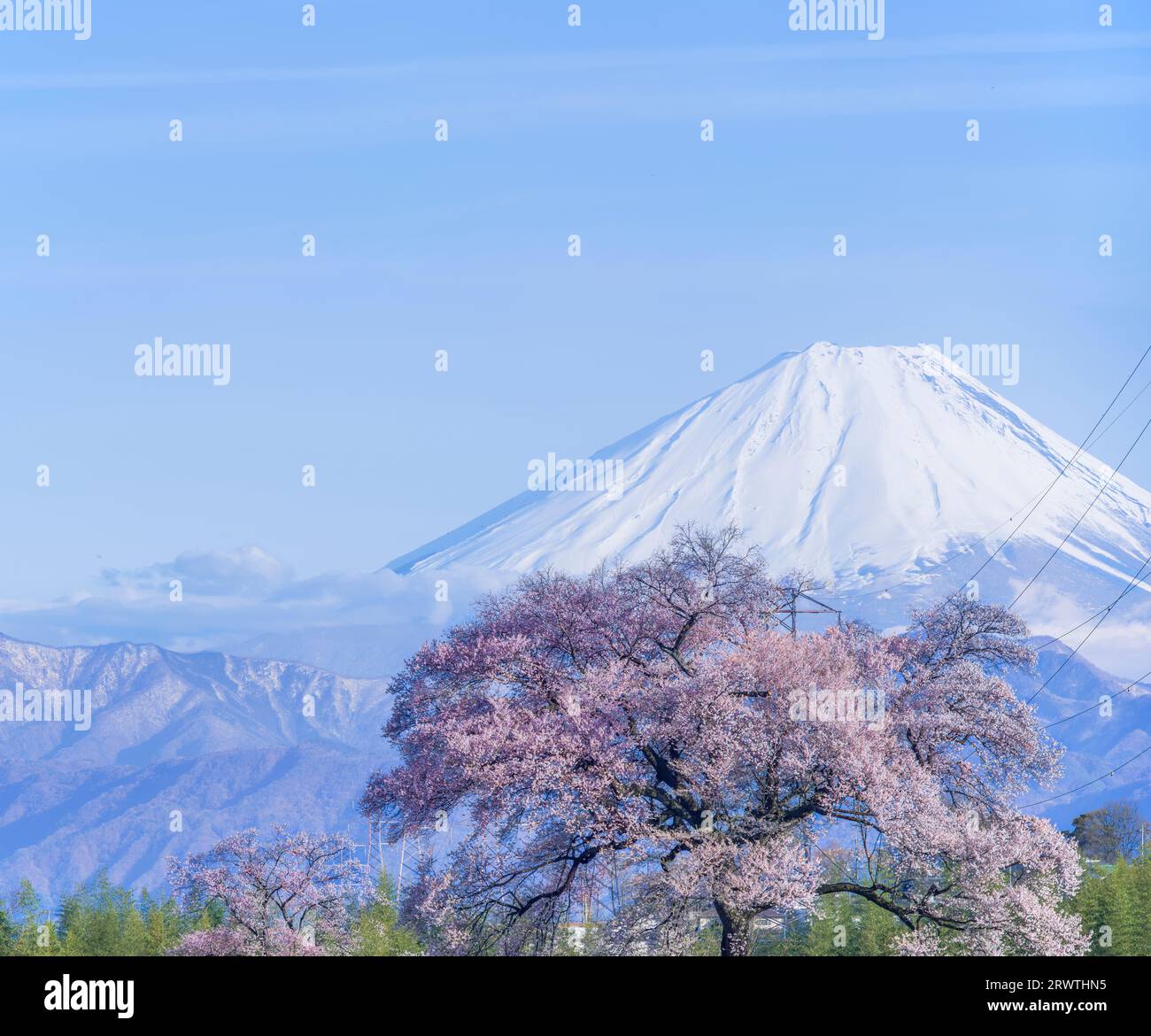 Scenario di Yamanashi: Fiori di ciliegio e il monte Fiori di ciliegio a Wani Mound Foto Stock