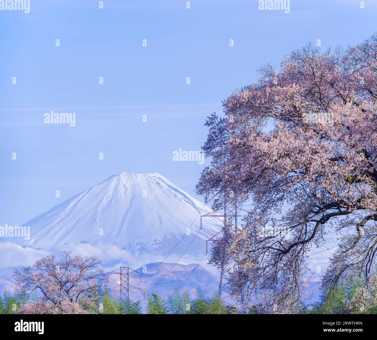 Scenario di Yamanashi: Fiori di ciliegio e il monte Fiori di ciliegio a Wani Mound Foto Stock