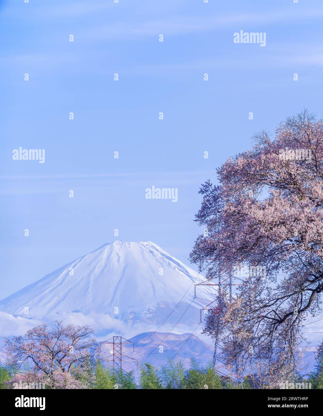 Scenario di Yamanashi: Fiori di ciliegio e il monte Fiori di ciliegio a Wani Mound Foto Stock