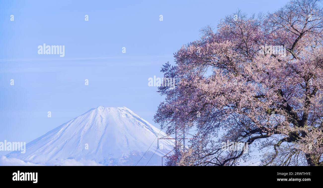 Scenario di Yamanashi: Fiori di ciliegio e il monte Fiori di ciliegio a Wani Mound Foto Stock