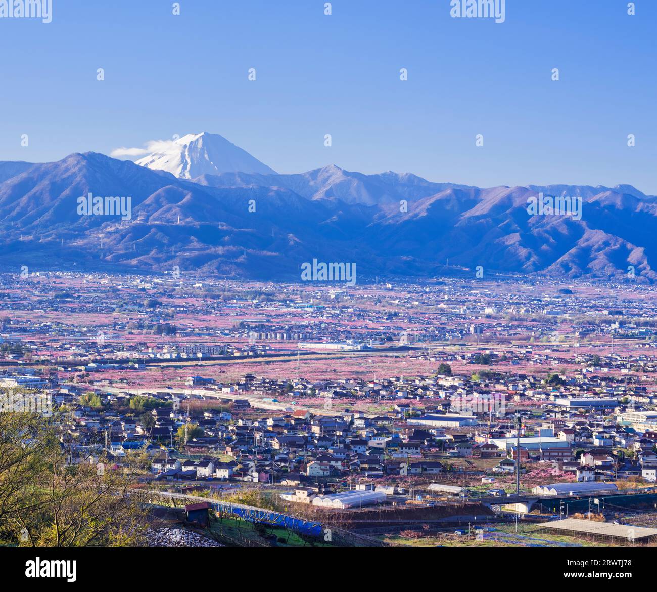 Paesaggi della Prefettura di Yamanashi la pesca fiorisce nella città di Yamanashi e il Monte Fuji in lontananza l'osservatorio senza nome Foto Stock