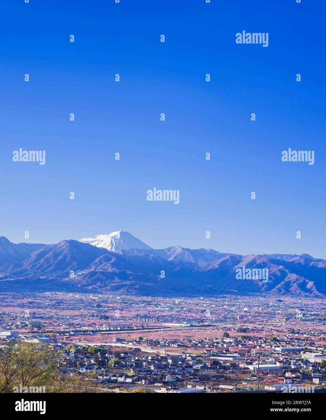 Paesaggi della Prefettura di Yamanashi la pesca fiorisce nella città di Yamanashi e il Monte Fuji in lontananza l'osservatorio senza nome Foto Stock