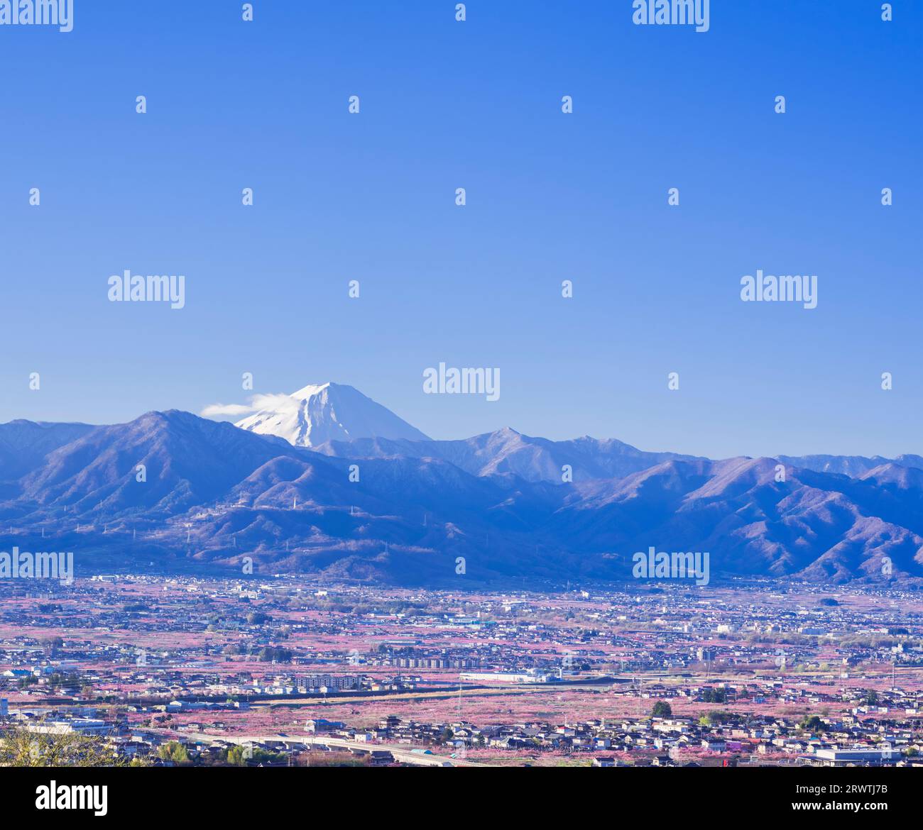 Paesaggi della Prefettura di Yamanashi la pesca fiorisce nella città di Yamanashi e il Monte Fuji in lontananza l'osservatorio senza nome Foto Stock