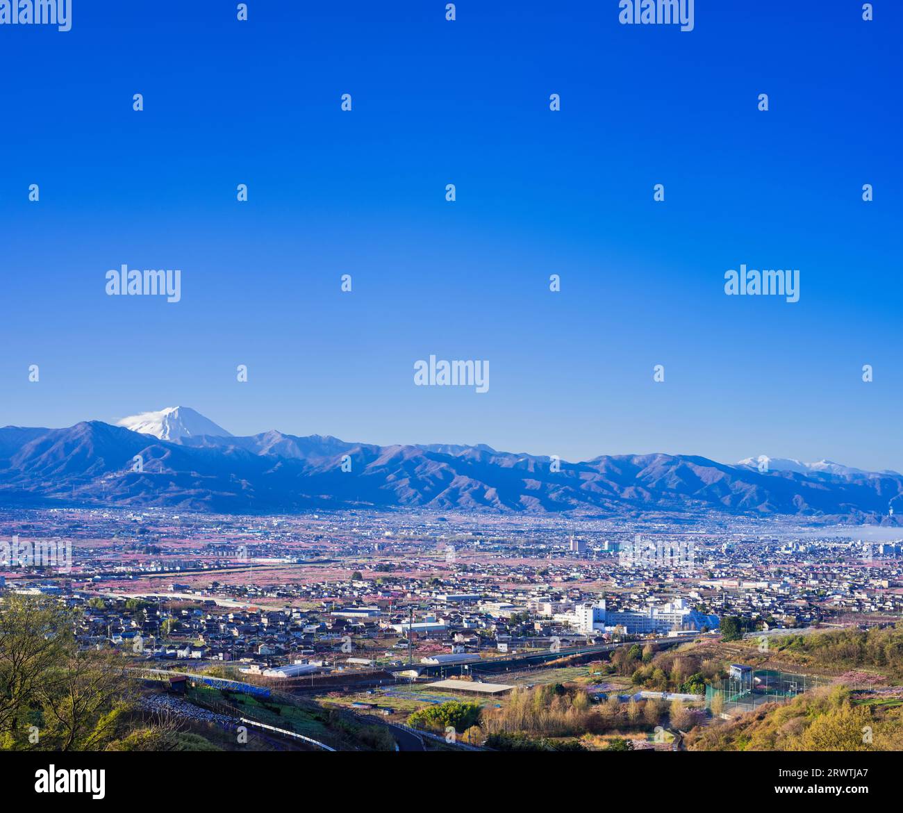 Paesaggi della Prefettura di Yamanashi la pesca fiorisce nella città di Yamanashi e il Monte Fuji in lontananza l'osservatorio senza nome Foto Stock