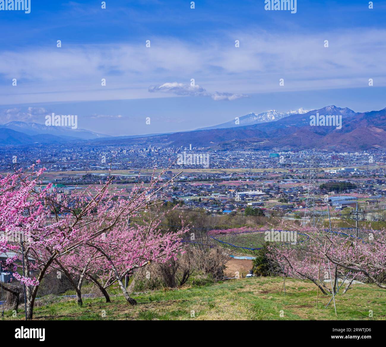 Bacino di Kofu e vista in lontananza del Monte Yatsushiro Furusato Park Foto Stock