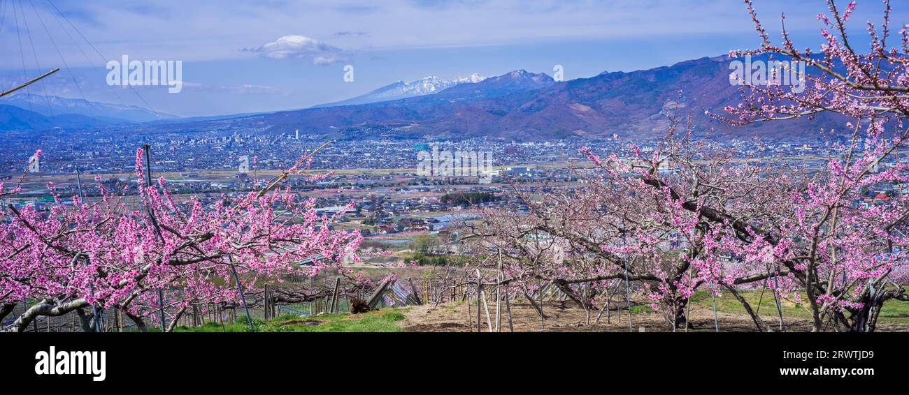 Bacino di Kofu e vista in lontananza del Monte Yatsushiro Furusato Park Foto Stock