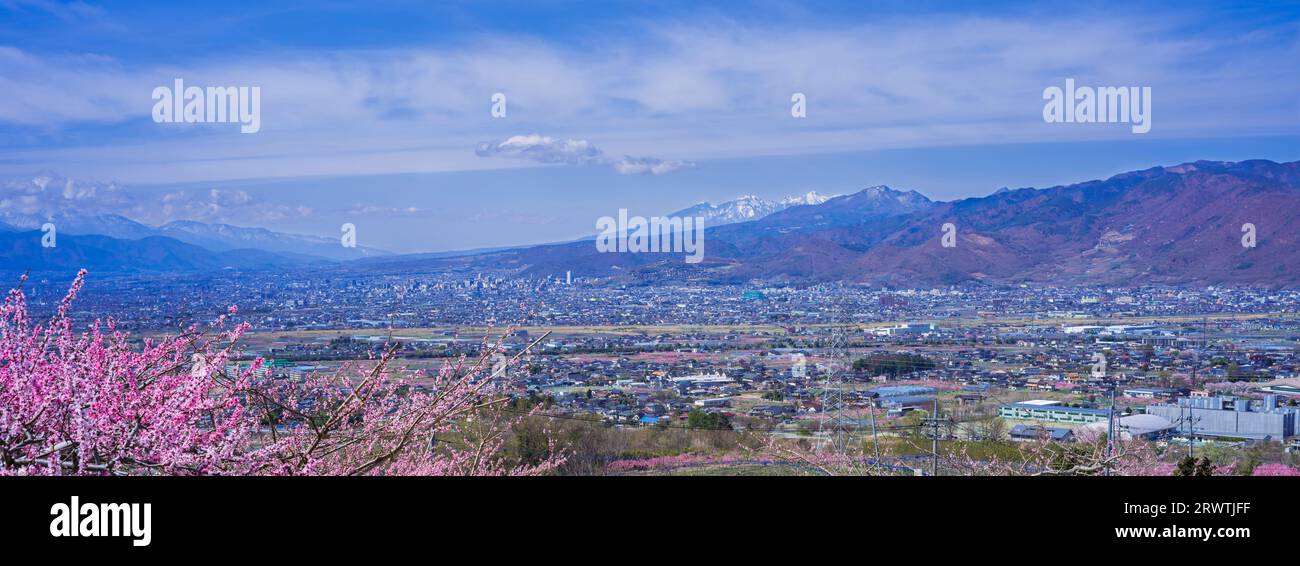 Bacino di Kofu e vista in lontananza del Monte Yatsushiro Furusato Park Foto Stock