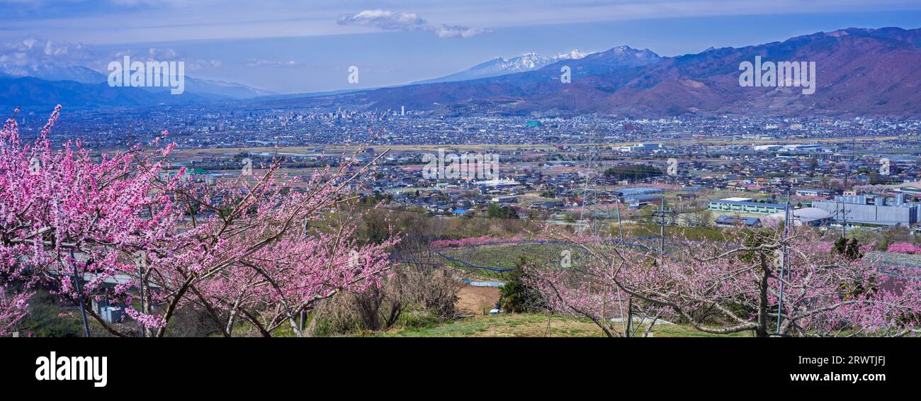Bacino di Kofu e vista in lontananza del Monte Yatsushiro Furusato Park Foto Stock