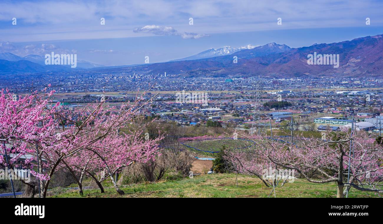 Bacino di Kofu e vista in lontananza del Monte Yatsushiro Furusato Park Foto Stock