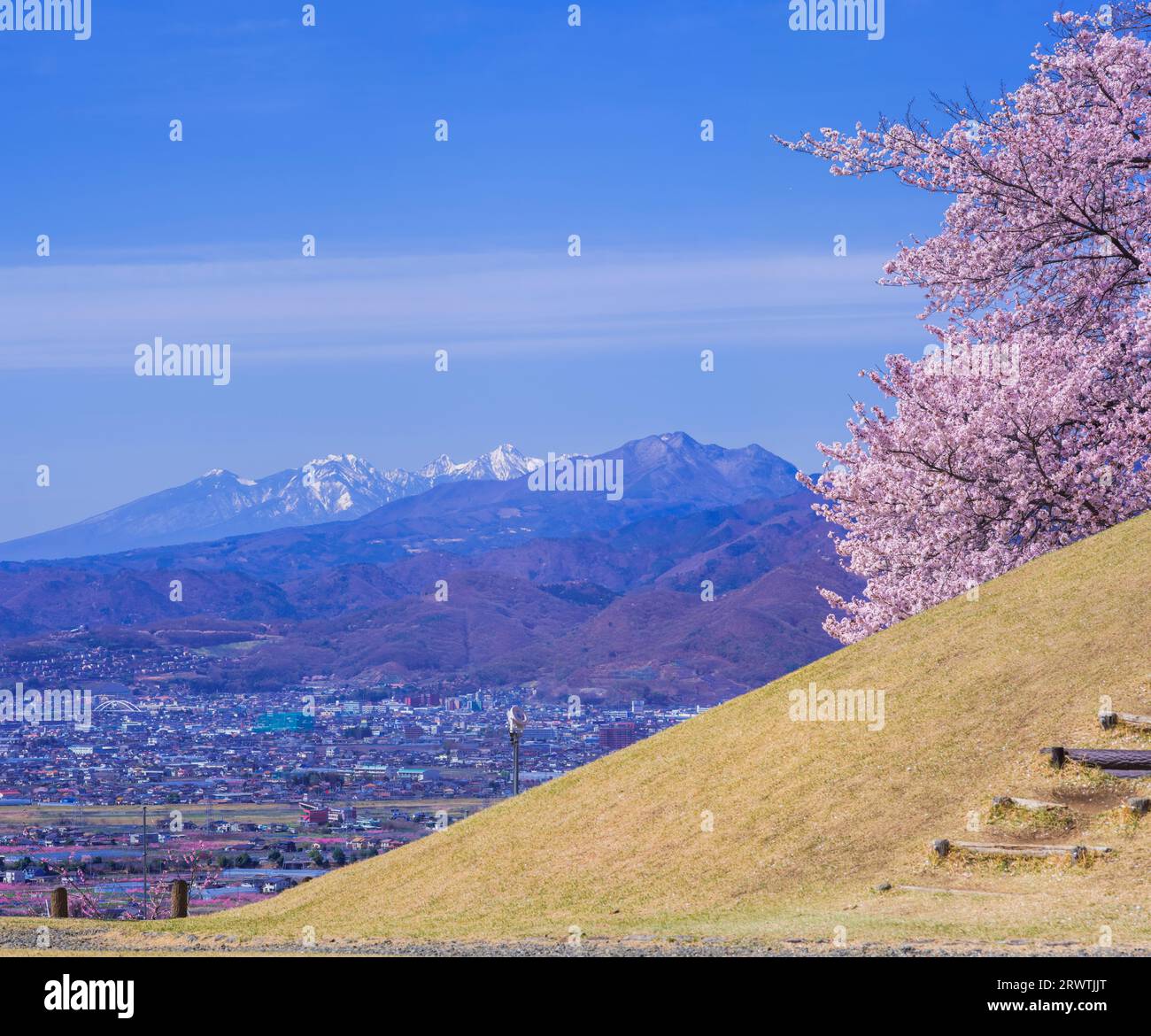 Yamanashi paesaggi fiori di ciliegio al Koshu Kogage Yatsushiro Furusato Park Foto Stock