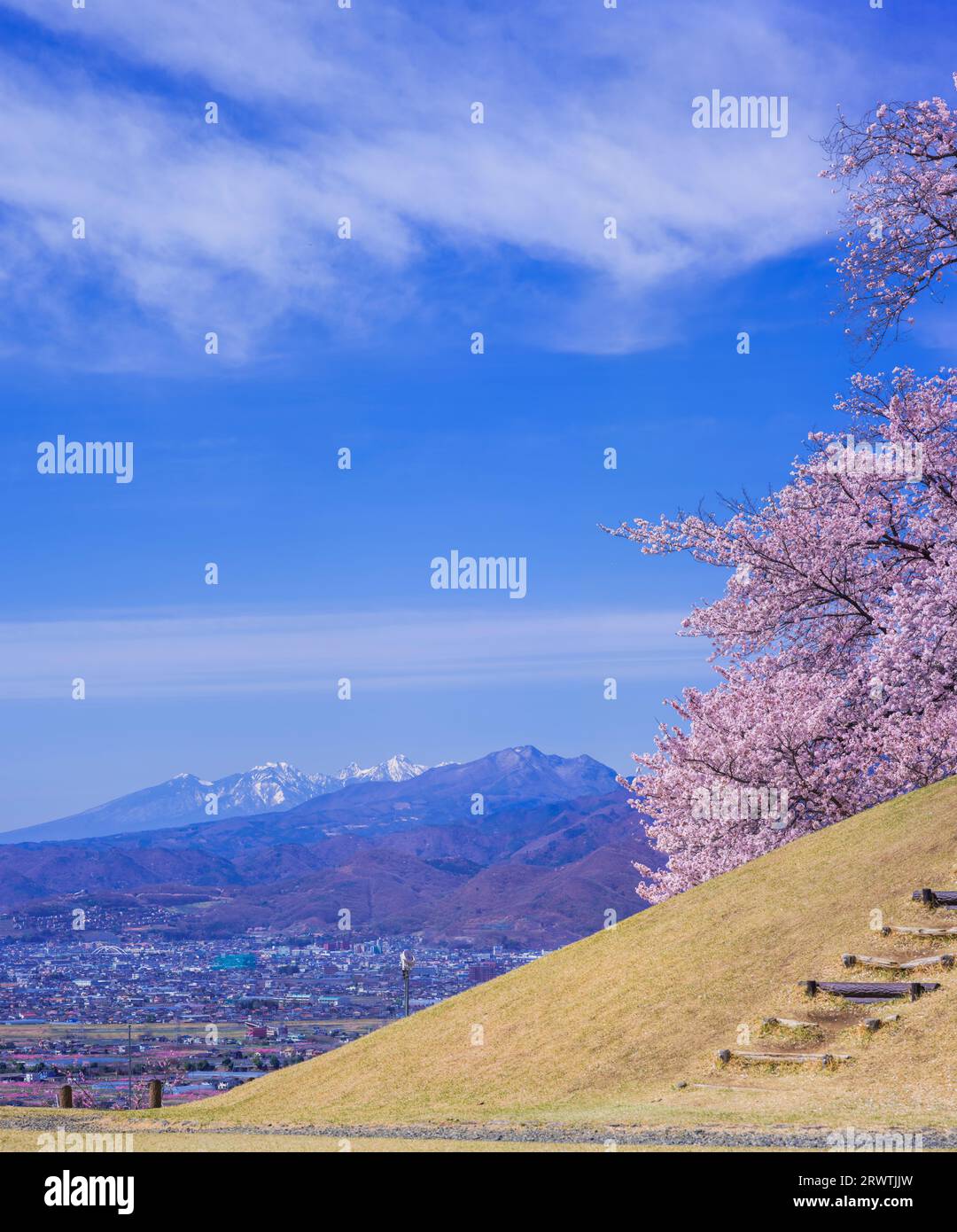 Yamanashi paesaggi fiori di ciliegio al Koshu Kogage Yatsushiro Furusato Park Foto Stock