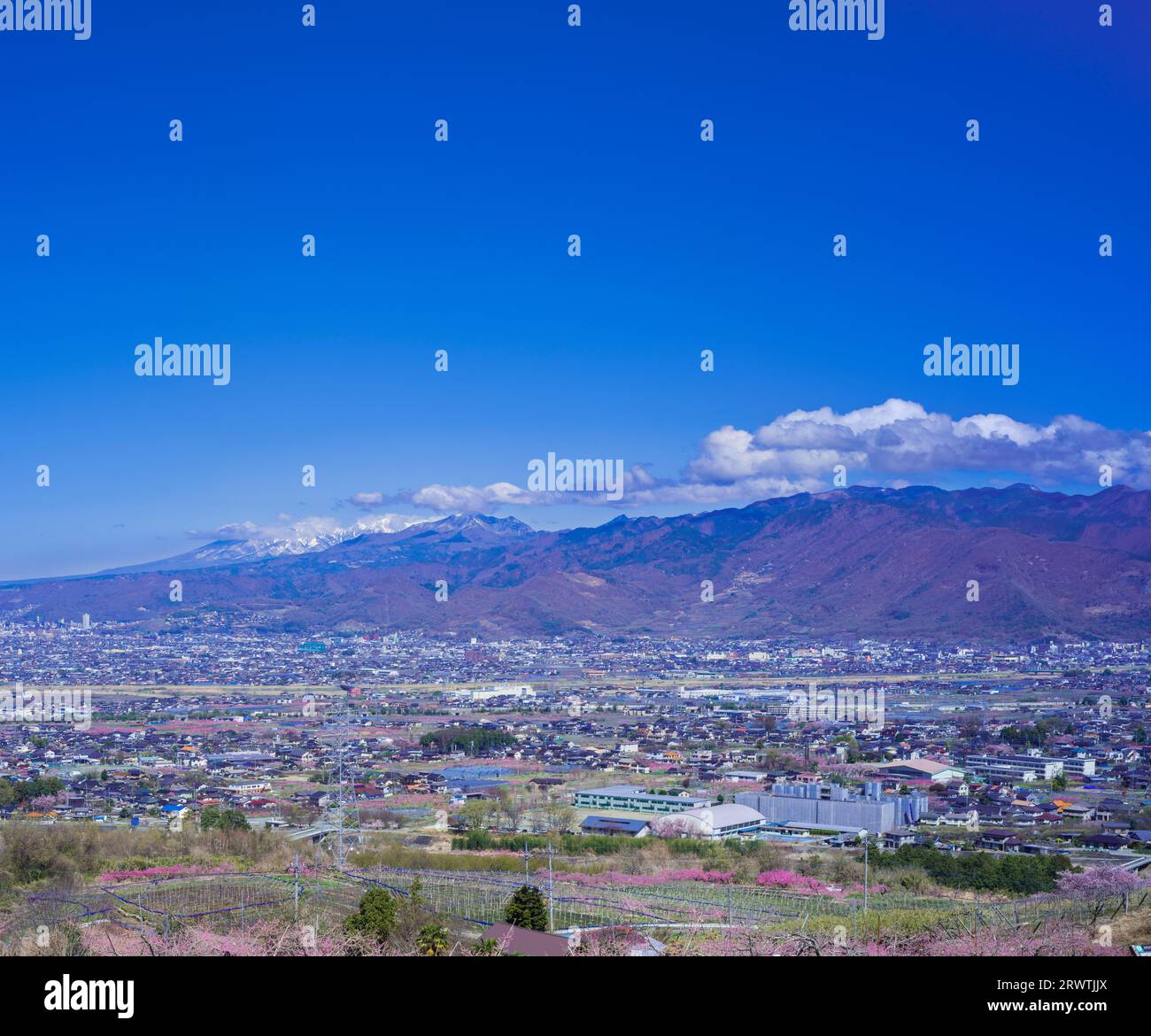 Paesaggi di Yamanashi la pesca fiorisce nel bacino di Kofu Fuefuki-Kofu City e vista a distanza del Parco di Yatsushiro Furusato Foto Stock