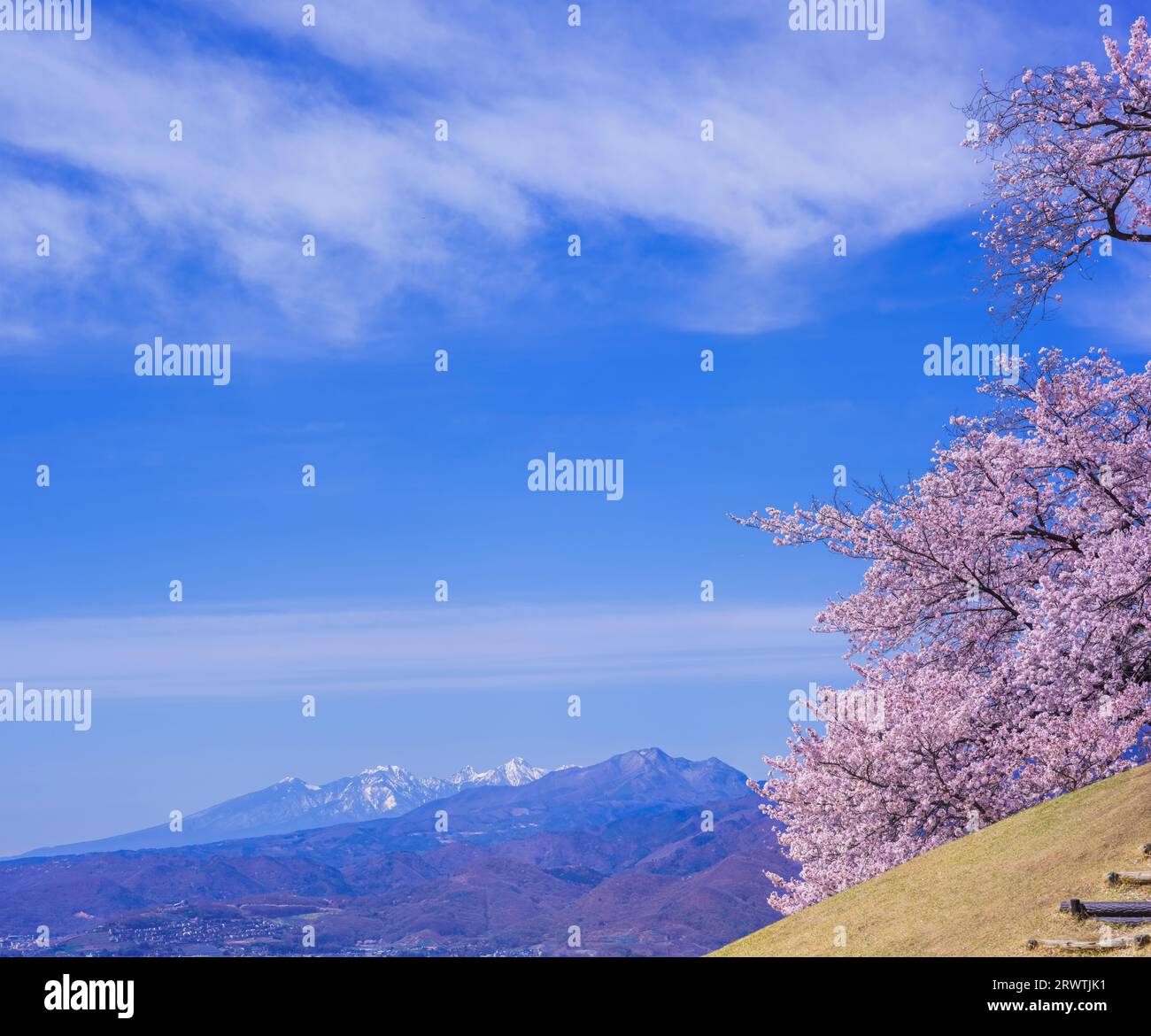 Yamanashi paesaggi fiori di ciliegio al Koshu Kogage Yatsushiro Furusato Park Foto Stock