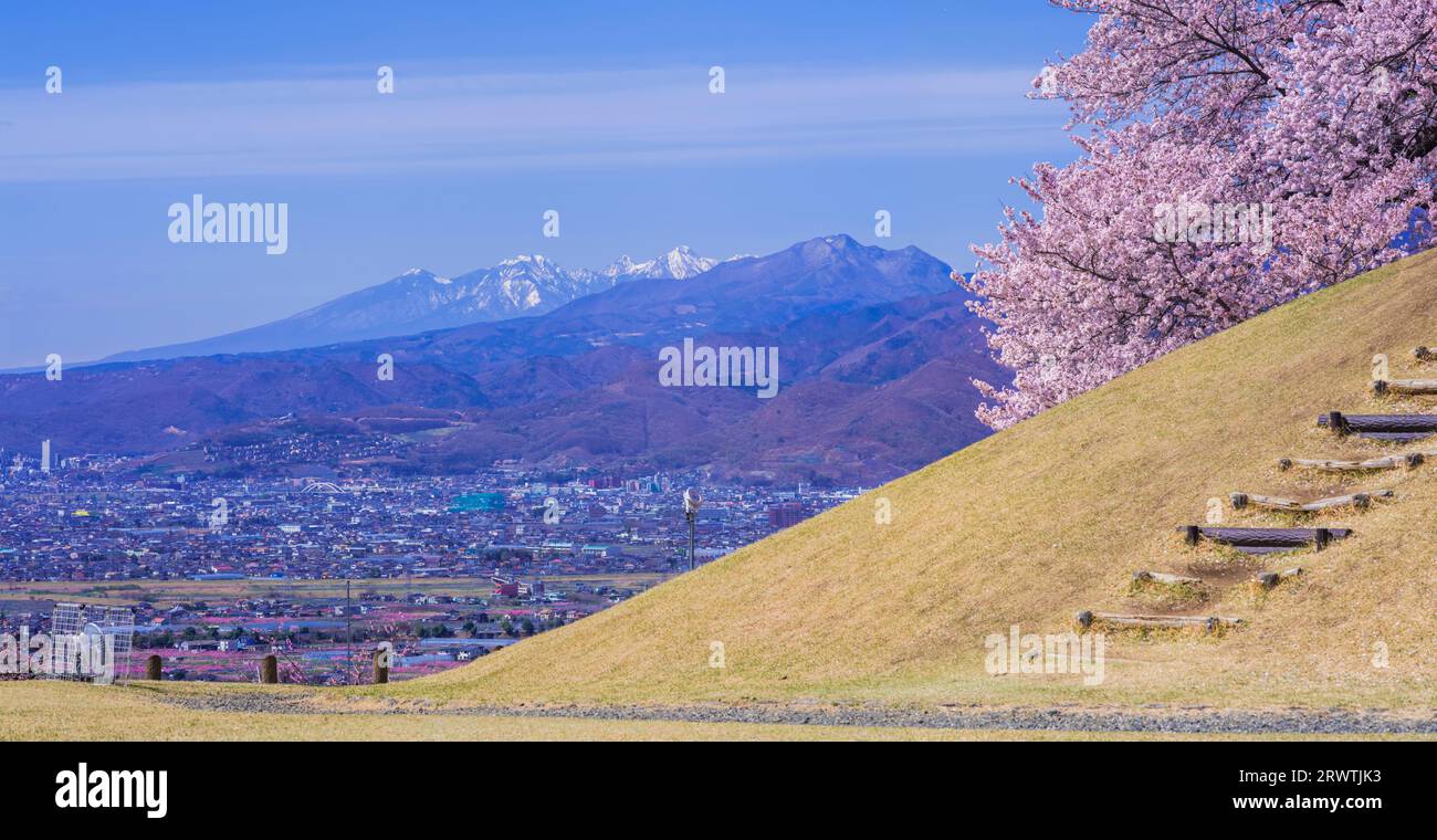 Yamanashi paesaggi fiori di ciliegio al Koshu Kogage Yatsushiro Furusato Park Foto Stock
