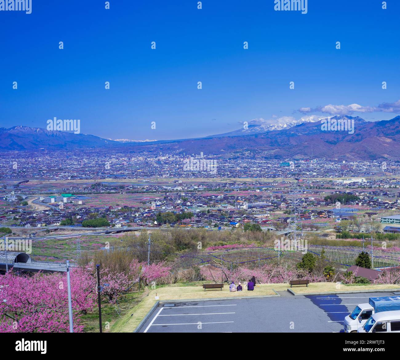 Paesaggi di Yamanashi la pesca fiorisce nel bacino di Kofu Fuefuki-Kofu City e vista a distanza del Parco di Yatsushiro Furusato Foto Stock