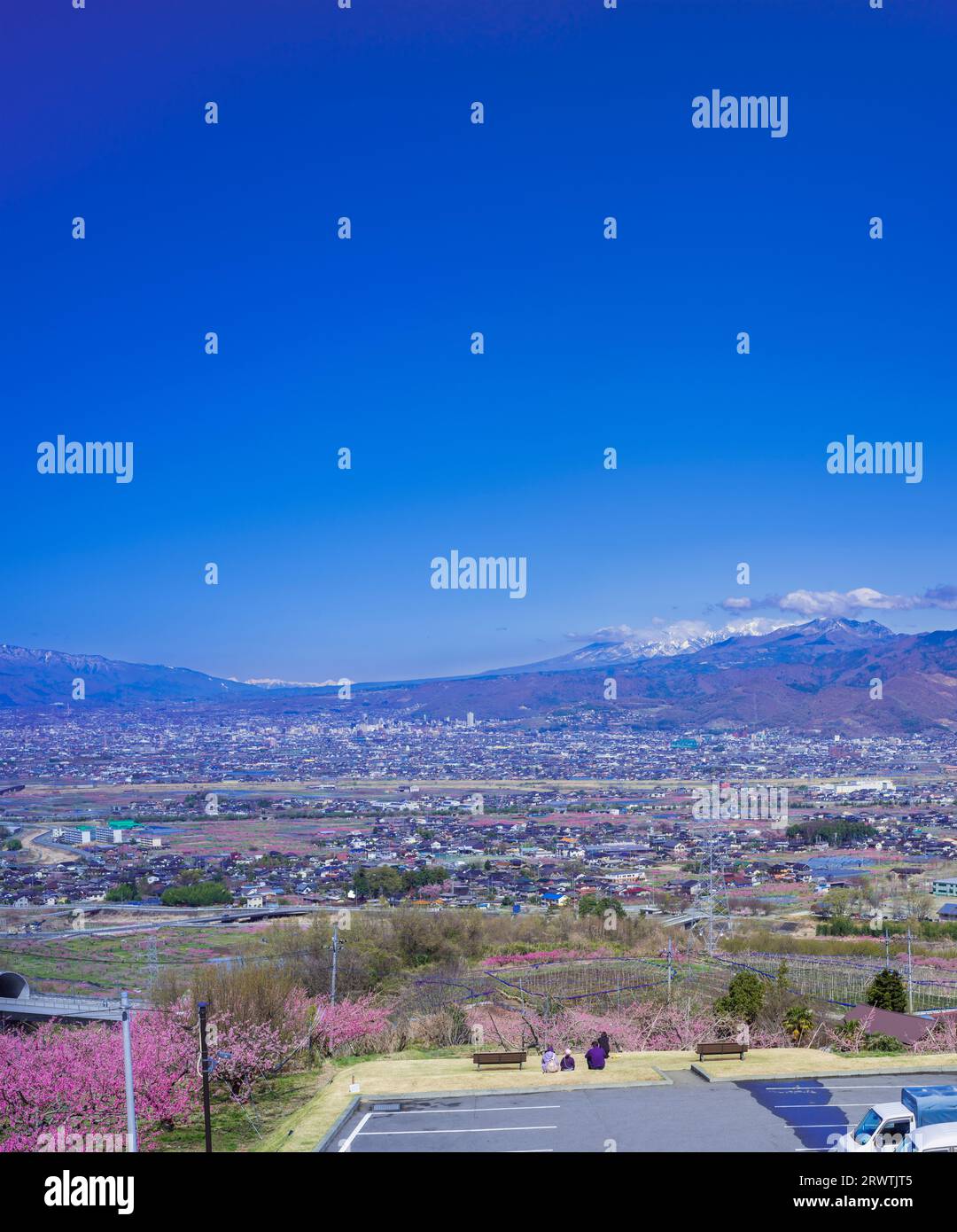 Paesaggi di Yamanashi la pesca fiorisce nel bacino di Kofu Fuefuki-Kofu City e vista a distanza del Parco di Yatsushiro Furusato Foto Stock