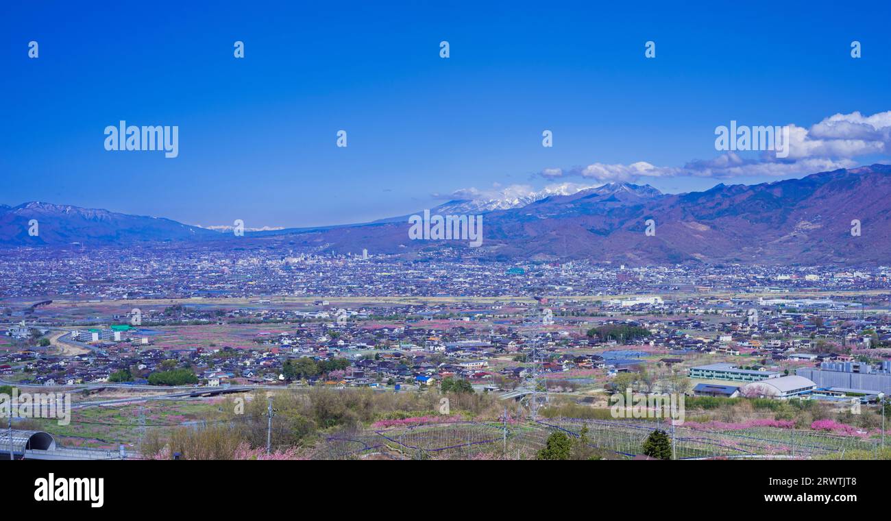 Paesaggi di Yamanashi la pesca fiorisce nel bacino di Kofu Fuefuki-Kofu City e vista a distanza del Parco di Yatsushiro Furusato Foto Stock