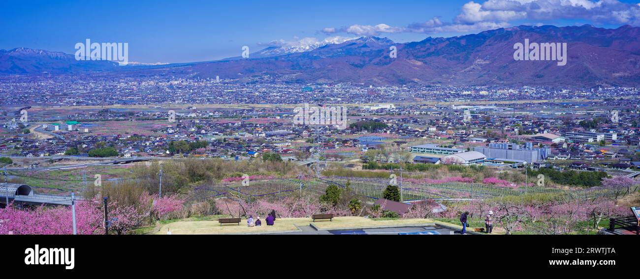 Paesaggi di Yamanashi la pesca fiorisce nel bacino di Kofu Fuefuki-Kofu City e vista a distanza del Parco di Yatsushiro Furusato Foto Stock