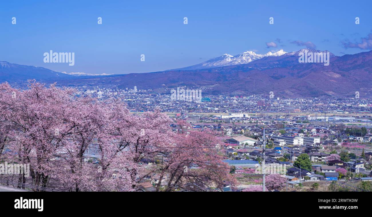Yamanashi paesaggi fiori di ciliegio nel bacino di Kofu, Fuefuki-Kofu City, Yatsushiro Furusato Park Foto Stock
