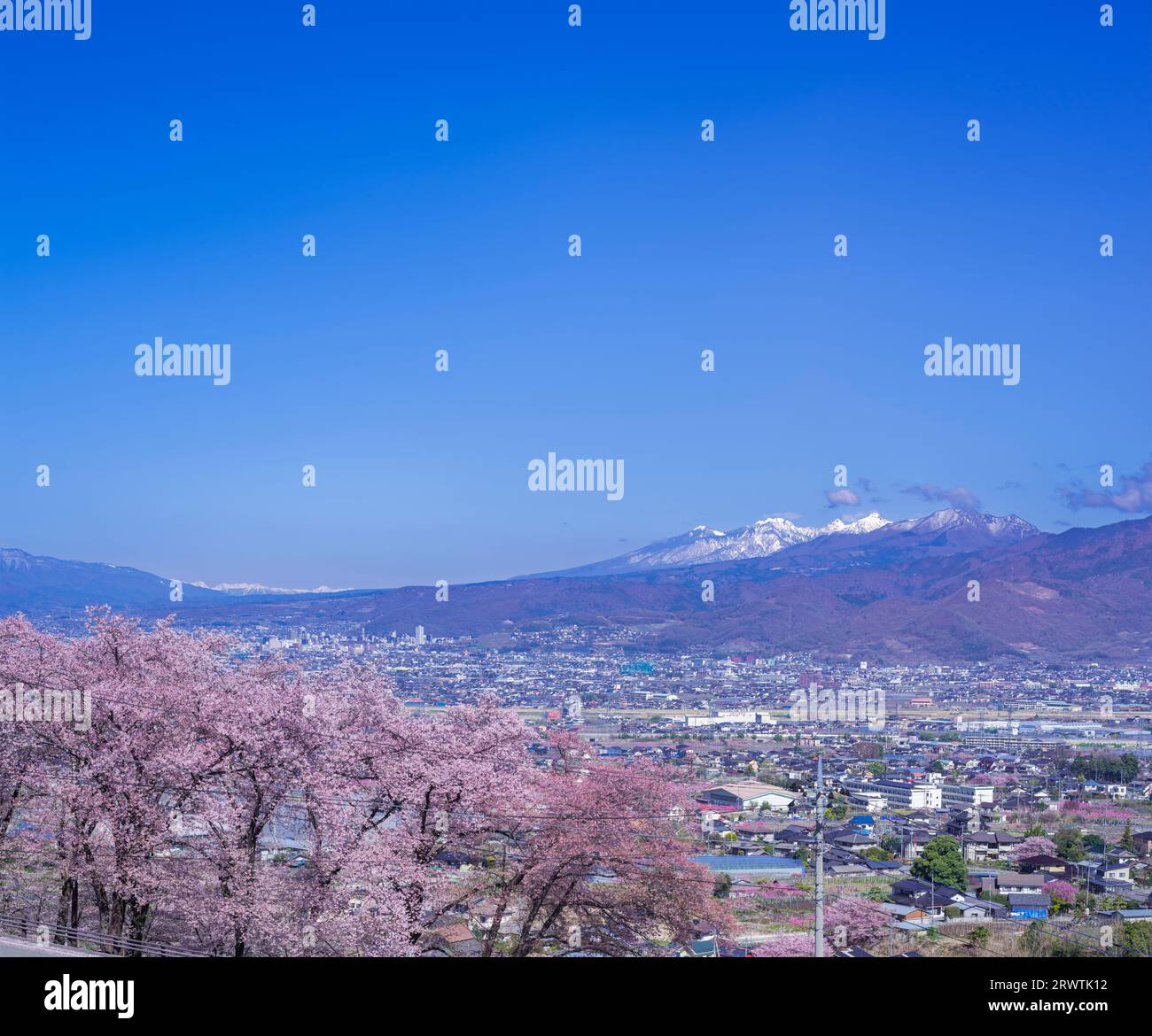 Yamanashi paesaggi fiori di ciliegio nel bacino di Kofu, Fuefuki-Kofu City, Yatsushiro Furusato Park Foto Stock