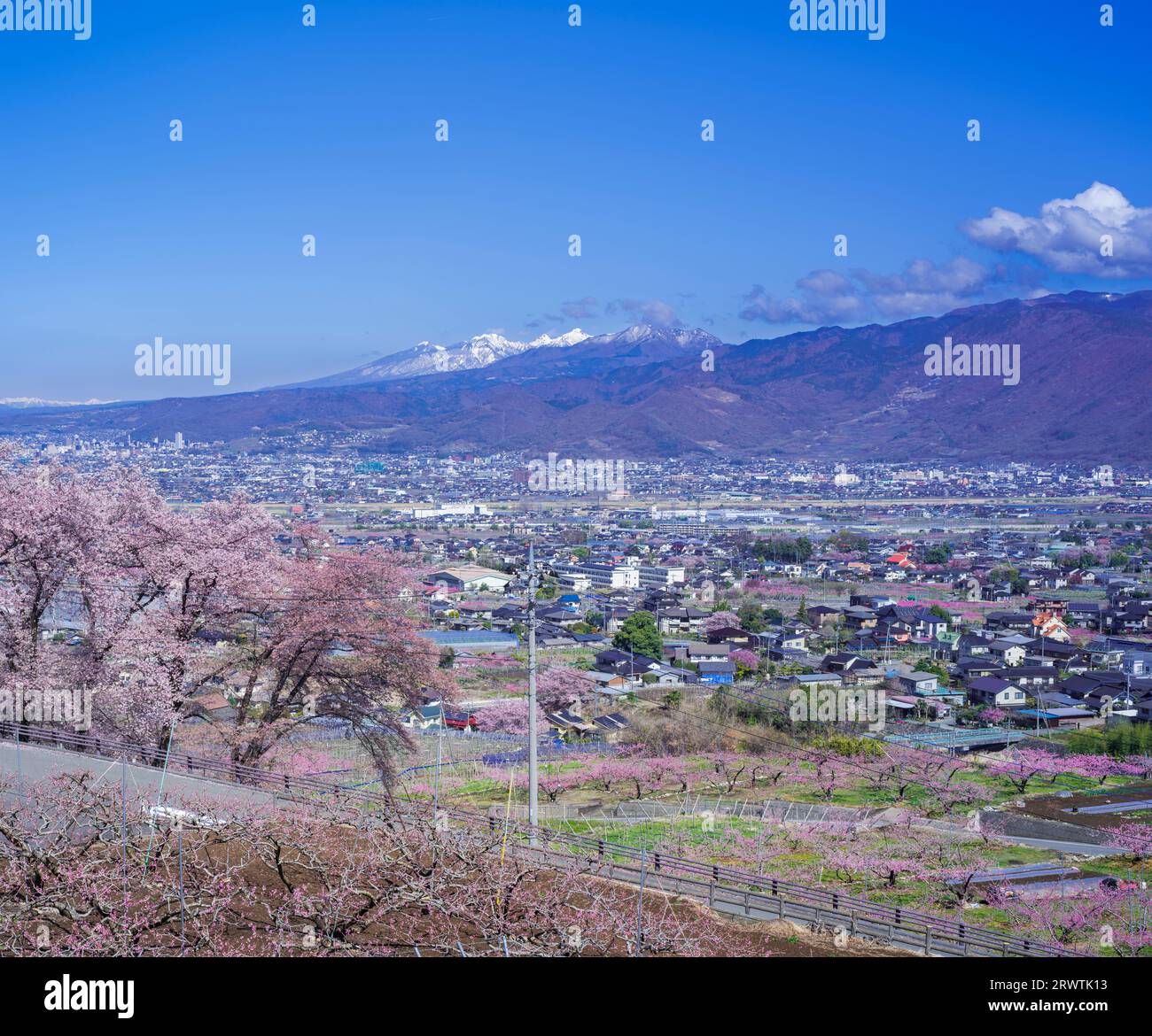 Yamanashi paesaggi fiori di ciliegio nel bacino di Kofu, Fuefuki-Kofu City, Yatsushiro Furusato Park Foto Stock