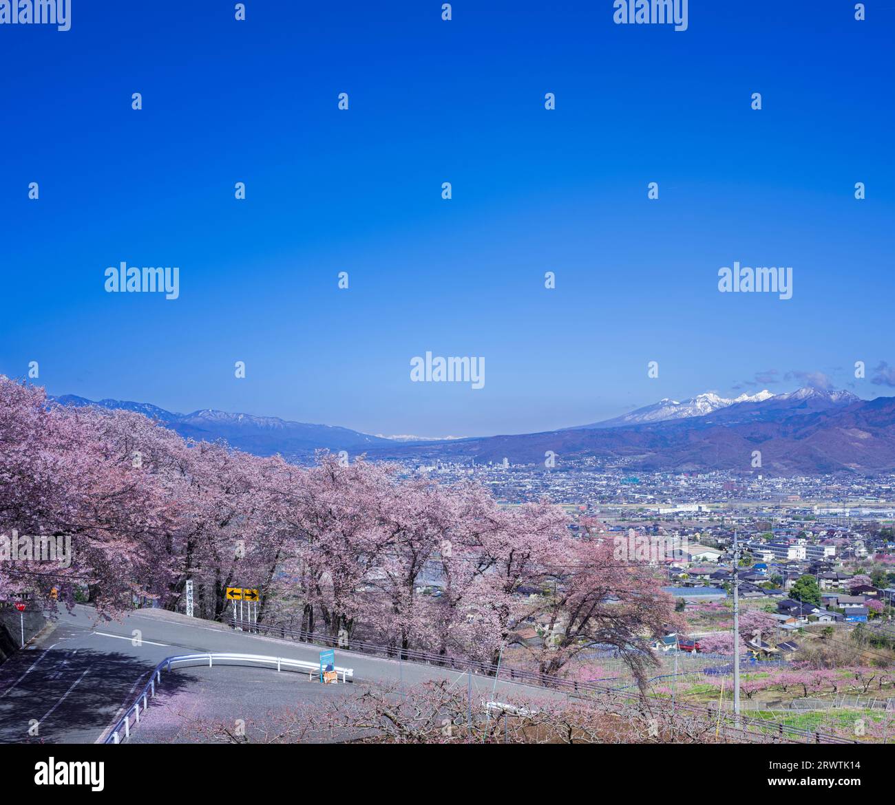 Yamanashi paesaggi fiori di ciliegio nel bacino di Kofu, Fuefuki-Kofu City, Yatsushiro Furusato Park Foto Stock