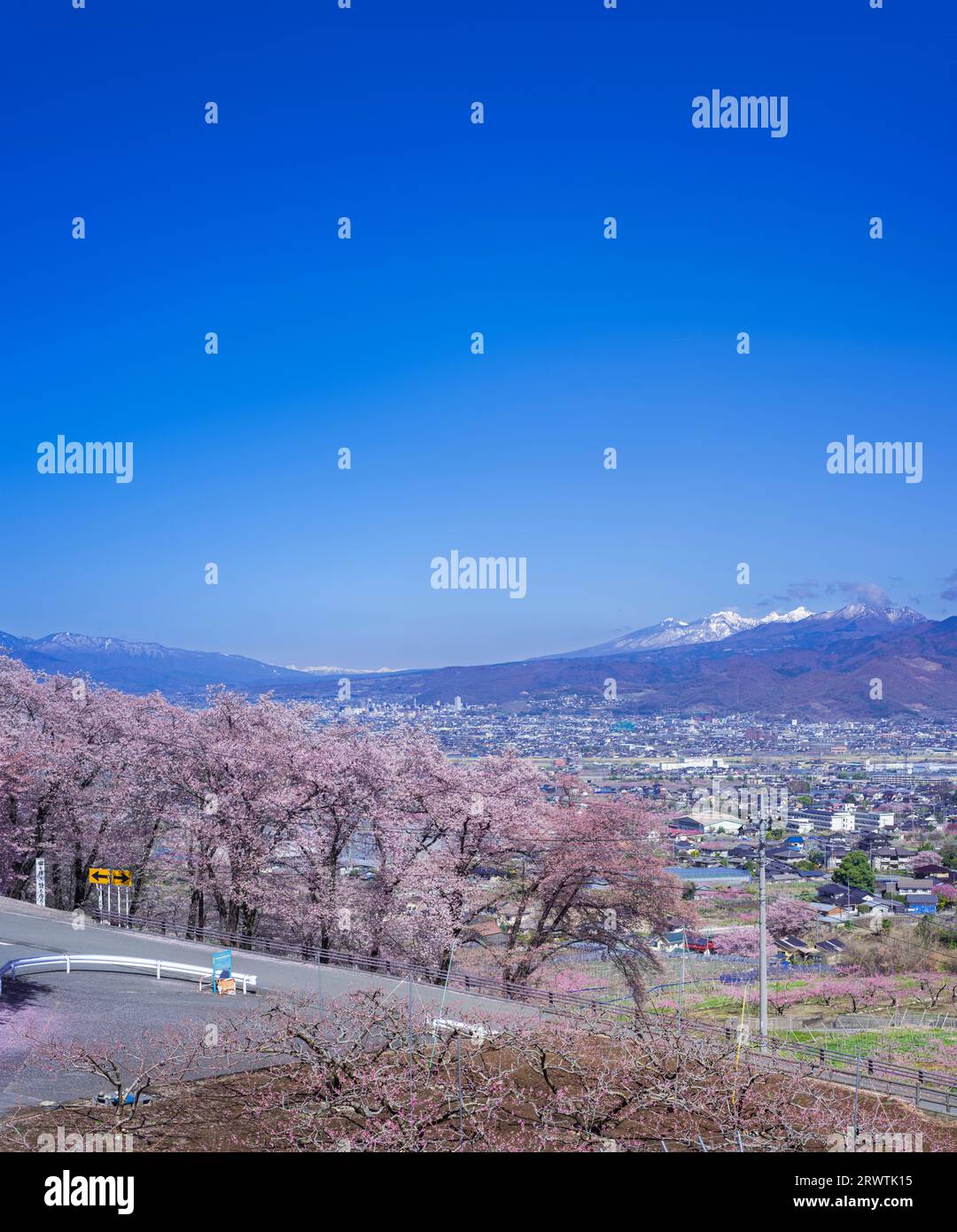 Yamanashi paesaggi fiori di ciliegio nel bacino di Kofu, Fuefuki-Kofu City, Yatsushiro Furusato Park Foto Stock
