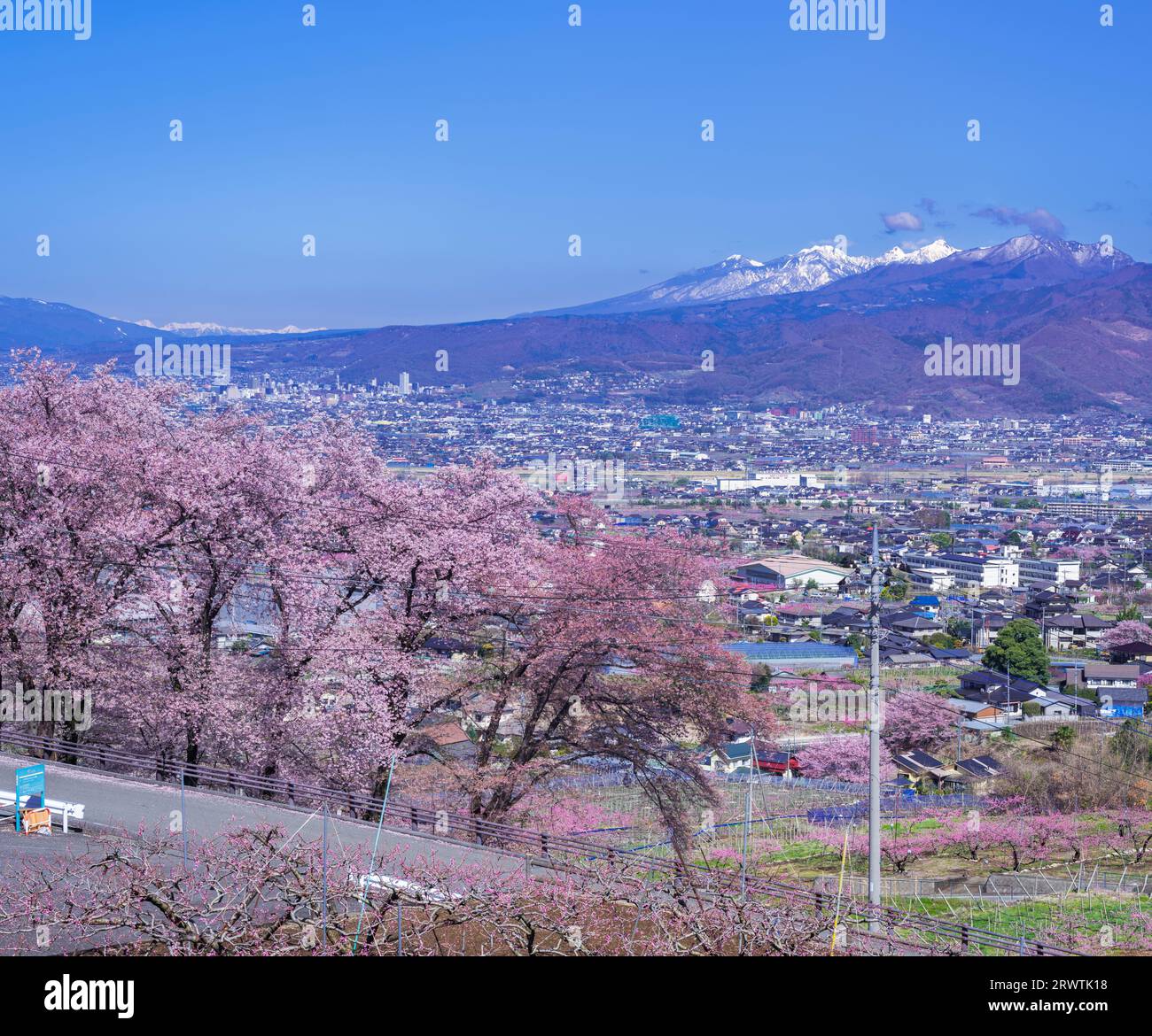 Yamanashi paesaggi fiori di ciliegio nel bacino di Kofu, Fuefuki-Kofu City, Yatsushiro Furusato Park Foto Stock