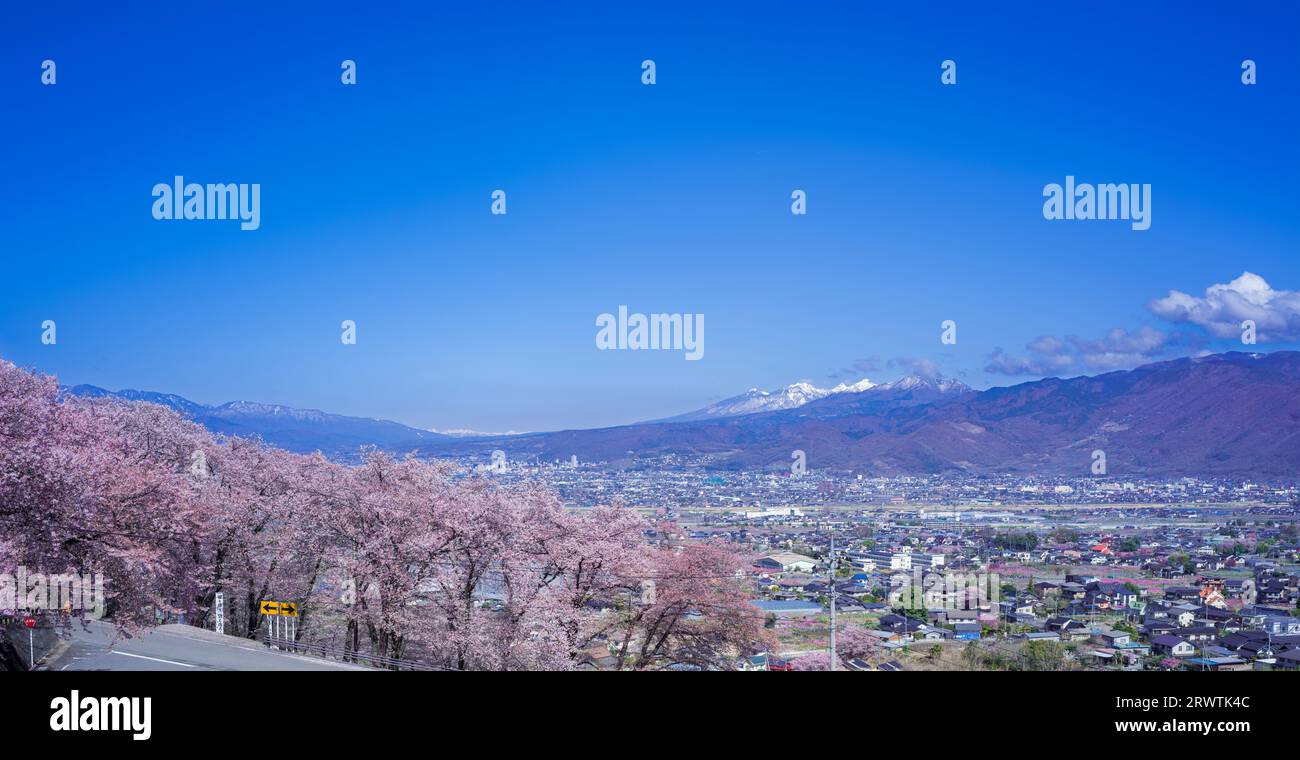 Yamanashi paesaggi fiori di ciliegio nel bacino di Kofu, Fuefuki-Kofu City, Yatsushiro Furusato Park Foto Stock