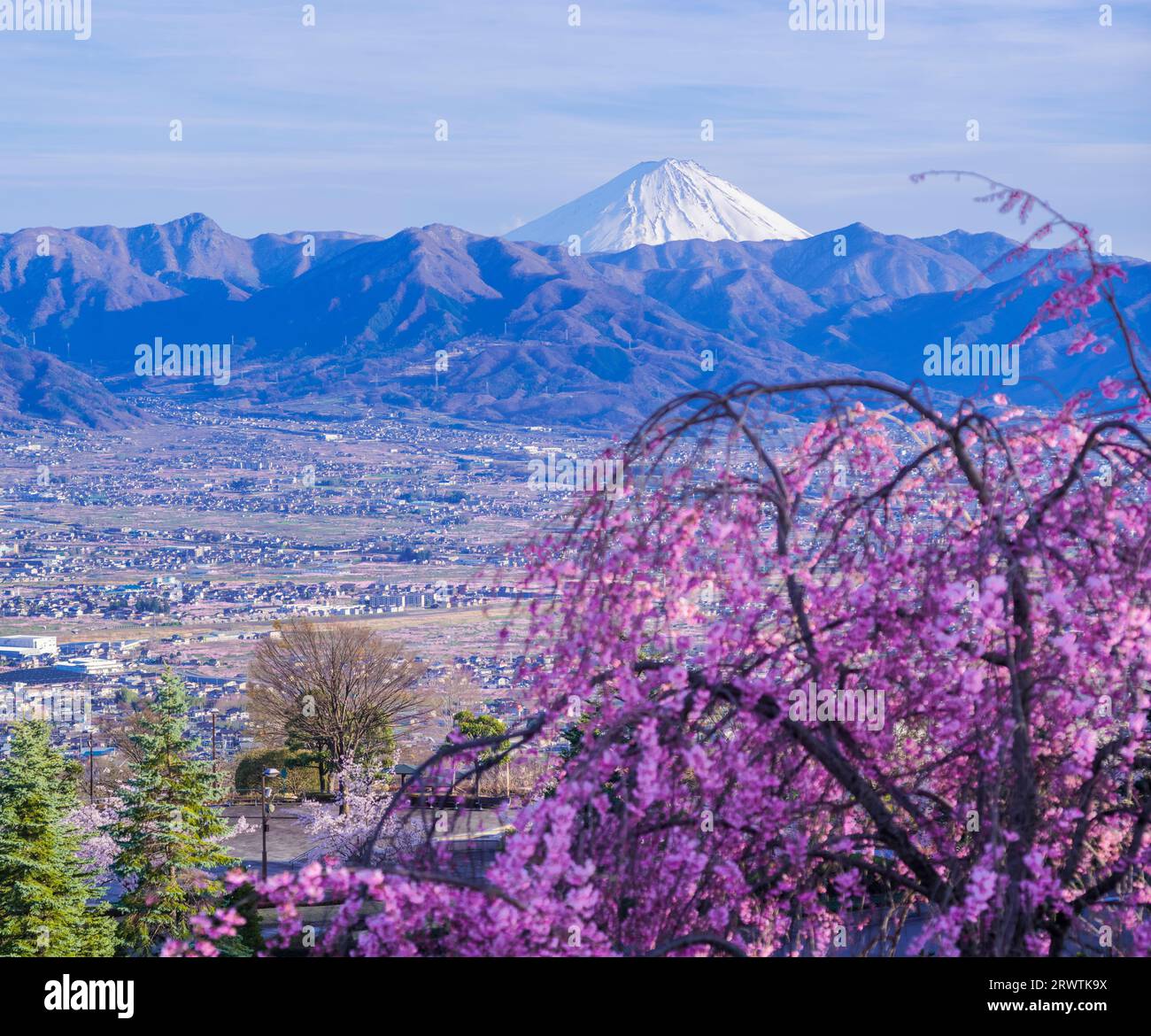 Paesaggi di Yamanashi fiori di ciliegio e vista a distanza del bacino di Kofu del Monte Fuji Fuefukigawa Fruit Park Foto Stock