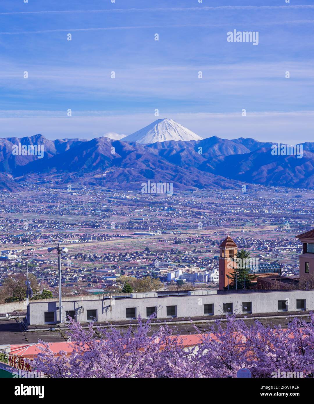 Paesaggi di Yamanashi fiori di ciliegio e bacino di Kofu, vista a distanza del Monte Fuji al Fuefukigawa Fruit Park Foto Stock